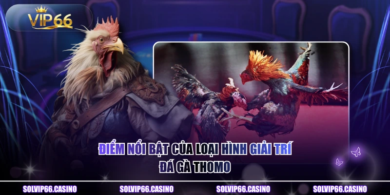 Điểm nổi bật của loại hình giải trí đá gà Thomo 