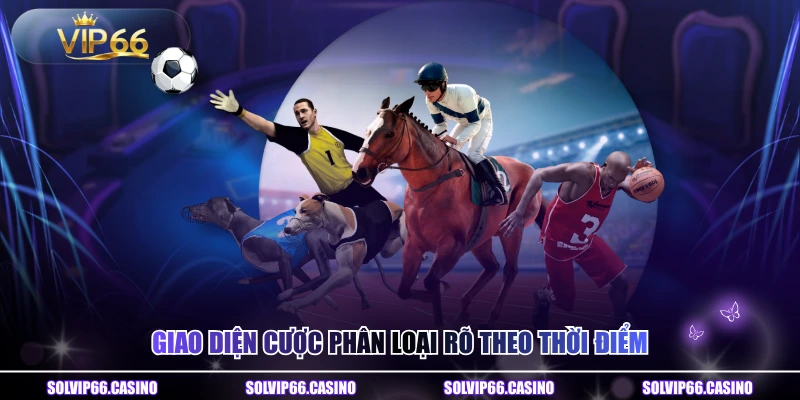 Giao diện cược phân loại rõ theo thời điểm
