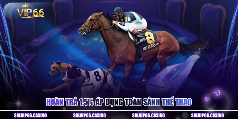 Hoàn trả 1.5% áp dụng toàn sảnh thể thao