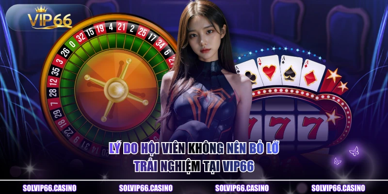 Lý do hội viên không nên bỏ lỡ trải nghiệm tại VIP66