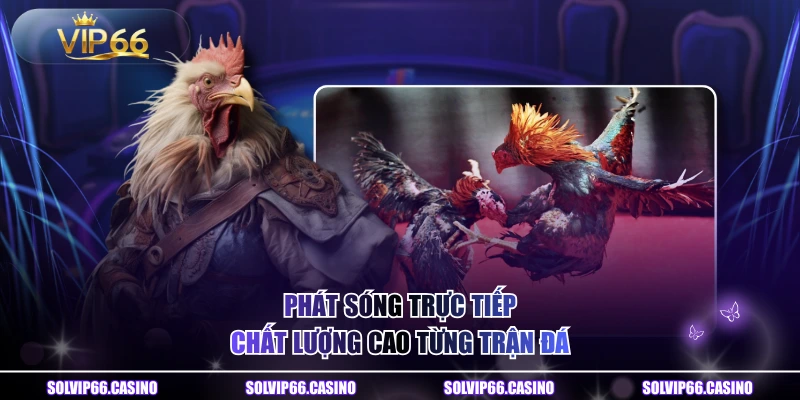 Phát sóng trực tiếp chất lượng cao từng trận đá