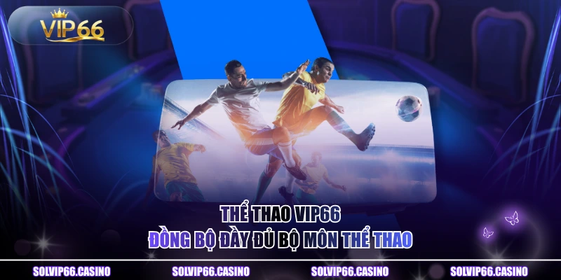 Thể thao VIP66 đồng bộ đầy đủ bộ môn thể thao