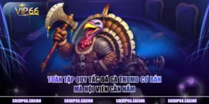 Toàn Tập Quy Tắc Đá Gà Thomo Cơ Bản Mà Hội Viên Cần Nắm