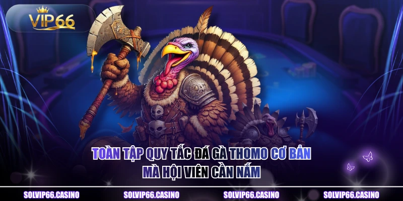 Toàn Tập Quy Tắc Đá Gà Thomo Cơ Bản Mà Hội Viên Cần Nắm