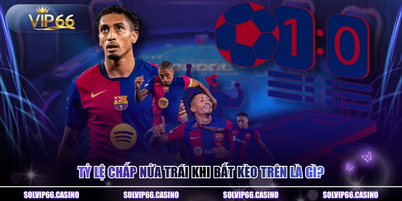 Tỷ lệ chấp nửa trái khi bắt kèo trên là gì?